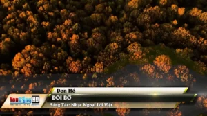 Đôi Bờ – Don Hồ