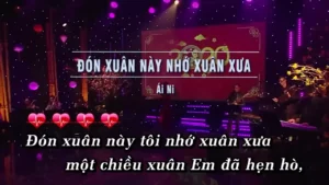 Đón Xuân Này Nhớ Xuân Xưa – Ái Ni