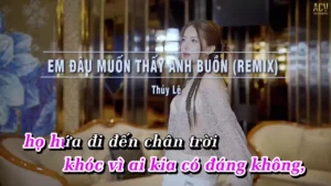 Em Đâu Muốn Thấy Anh Buồn (Remix) – Thủy Lê