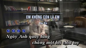Em Không Còn Là Em – Chu Bin
