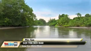 Gọi Tên Nỗi Đau – Mộc San