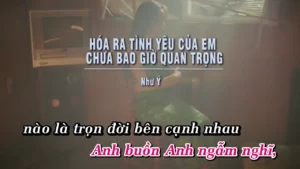 Hóa Ra Tình Yêu Của Em Chưa Bao Giờ Quan Trọng – Như Ý