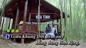 Họa Tình – Chí Thiện & Lương Minh Trang