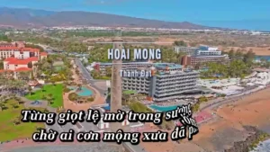 Hoài Mong – Thành Đạt