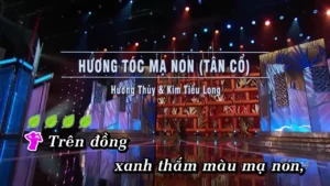 Hương Tóc Mạ Non (Tân Cổ) – Hương Thủy & Kim Tiểu Long