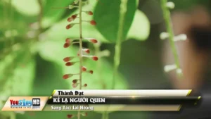 Kẻ Lạ Người Quen – Thành Đạt
