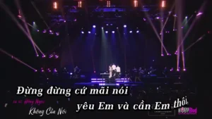 Không Cần Nói – Hồng Ngọc