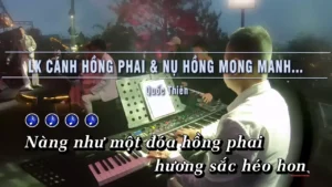 Liên Khúc Cánh Hồng Phai & Nụ Hồng Mong Manh & Triệu Đóa Hoa Hồng – Quốc Thiên