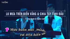 Liên Khúc Mưa Trên Biển Vắng & Chia Tay Tình Đầu – Trung Quân & Uyên Linh
