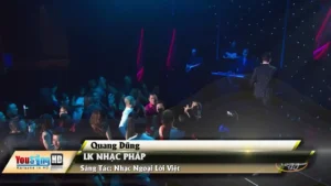 Liên Khúc Nhạc Pháp – Quang Dũng