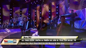 Liên Khúc Tình Khúc Buồn & Phiến Đá Sầu & Trái Tim Ngục Tù – Don Hồ