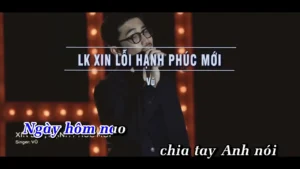 Liên Khúc Xin Lỗi & Hạnh Phúc Mới – Vũ