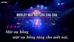 Medley Mắt Nai Cha Cha Cha & Thất Tình & Sha La La La La – Hà Nhi