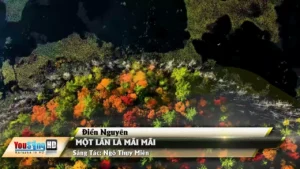 Một Lần Là Mãi Mãi – Điền Nguyên