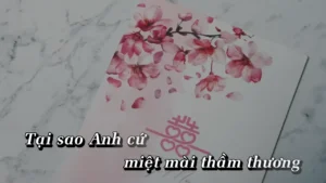 Một Người Chẳng Thương Tôi – Phạm Bảo Nam