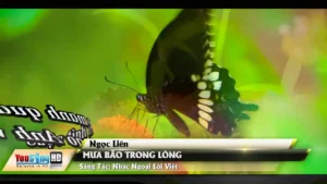 Mưa Bão Trong Lòng – Ngọc Liên