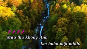 Mùa Thu Không Có Anh – Lâm Dung