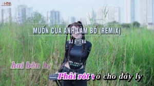 Muốn Cua Anh Làm Bồ (Remix) – DJ HYENA