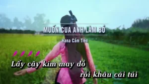 Muốn Cua Anh Làm Bồ – Hana Cẩm Tiên