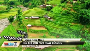 Nếu Chỉ Còn Một Ngày Để Sống – Giang Hồng Ngọc