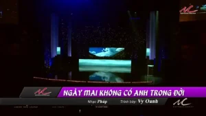 Ngày Mai Không Có Anh Trong Đời – Vy Oanh