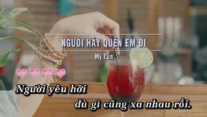 Người Hãy Quên Em Đi – Mỹ Tâm