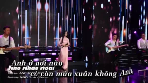 Nhớ Nhau Hoài – Thúy Diễm