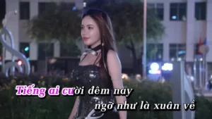 Như Là Tình Yêu (Remix) – Triệu Vi