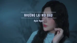 Nhường Lại Nỗi Đau – Ngân Ngân