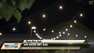 Nỗi Buồn Biết Đau – Phan Duy Anh