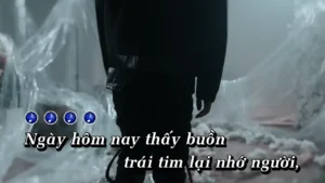 Rượu Sầu – Nhật Phong