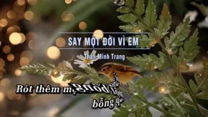 Say Một Đời Vì Em – Thân Minh Trang