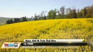 Tạ Tình – Ngọc Anh & Trần Thái Hòa