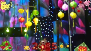 Tâm Sự Nàng Xuân – Quỳnh Trang