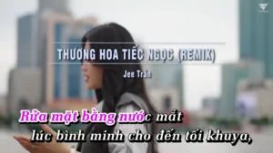 Thương Hoa Tiếc Ngọc (Remix) – Jee Trần