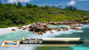Tình Đến Mà Chi – Thân Minh Trang