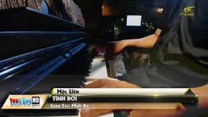 Tình Đời – Mộc Liên