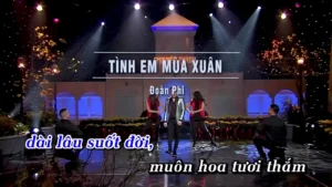 Tình Em Mùa Xuân – Đoàn Phi