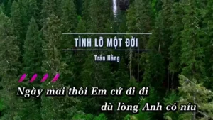 Tình Lỡ Một Đời – Trần Hằng