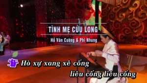 Tình Mẹ Cửu Long – Hồ Văn Cường & Phi Nhung