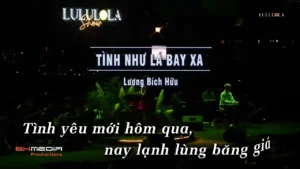 Tình Như Lá Bay Xa – Lương Bích Hữu
