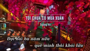 Tôi Chưa Có Mùa Xuân – Trường Vũ