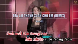 Trả Lại Thanh Xuân Cho Em (Remix) – Mochiii