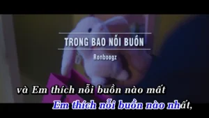 Trong Bao Nỗi Buồn – Ronboogz