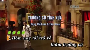 Trường Cũ Tình Xưa – Đặng Thế Luân & Tâm Đoan
