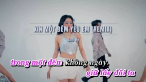 Xin Một Đêm Yêu Em (Remix) – Lan Vy