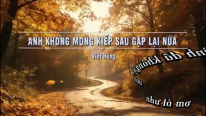 Anh Không Mong Kiếp Sau Gặp Lại Nữa – Việt Hùng
