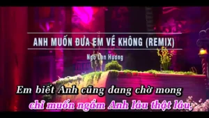 Anh Muốn Đưa Em Về Không (Remix) – Ngô Lan Hương