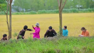 Anh Sáu Về Quê – Thy Vân & Trọng Nhân