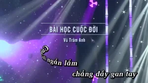 Bài Học Cuộc Đời – Vũ Trâm Anh